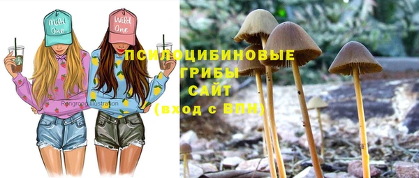 кокс Абдулино