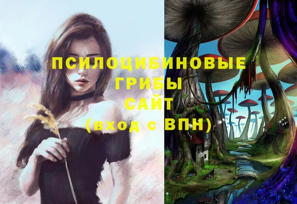 кокс Абдулино